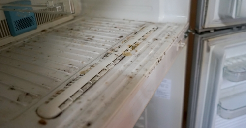 How To Clean A Fridge That Has Been Unplugged  